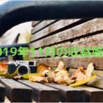 11月度のアフィリエイト収益報告